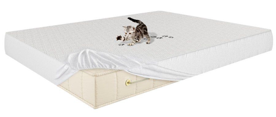 4248.900x0.jpg 4248.900x0.jpg