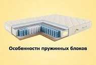Особенности пружинных блоков Особенности пружинных блоков